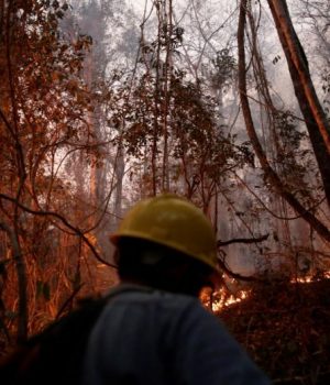 Bolivia :Los bomberos están agotados y sin fuerza, los Bosques continúan Arder en un fuego infernal.