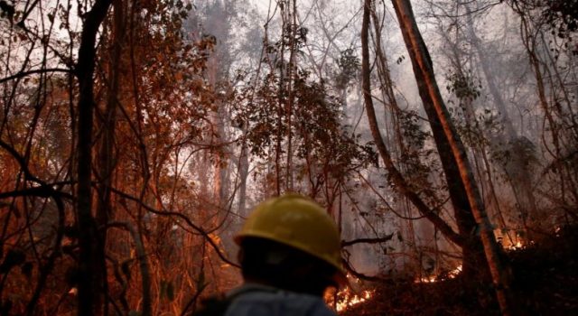 Bolivia :Los bomberos están agotados y sin fuerza, los Bosques continúan Arder en un fuego infernal.