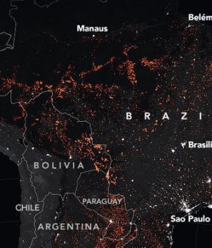 “Un poco de todo se está quemando. Un científico de la NASA analiza los incendios amazónicos