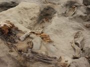 Descubierto en Perú el sitio de sacrificio masivo de niños’ más grande del mundo.
