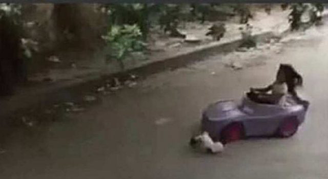 Dafne la niña que atropello un gato con su carrito, pudo cumplir su sueño gracias al video que se hizo viral