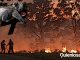 Incendios en Australia. 350 koalas muertos.