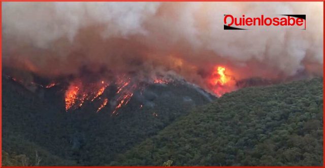 incendios en Australia