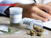 El cannabis, gran oportunidad para Colombia. Cannabis Colombia