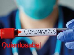 coronavirus cuánto va a durar