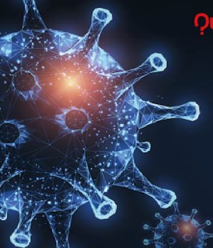 Teoría de conspiración sobre el coronavirus. Teoría de conspiración coronavirus