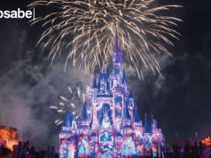 Walt Disney world en vivo