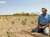 Cambio climático