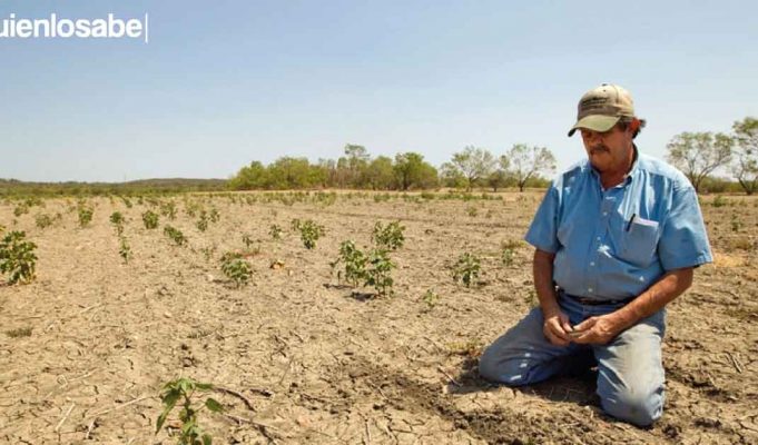 Cambio climático