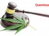 cannabis marihuana onu legal