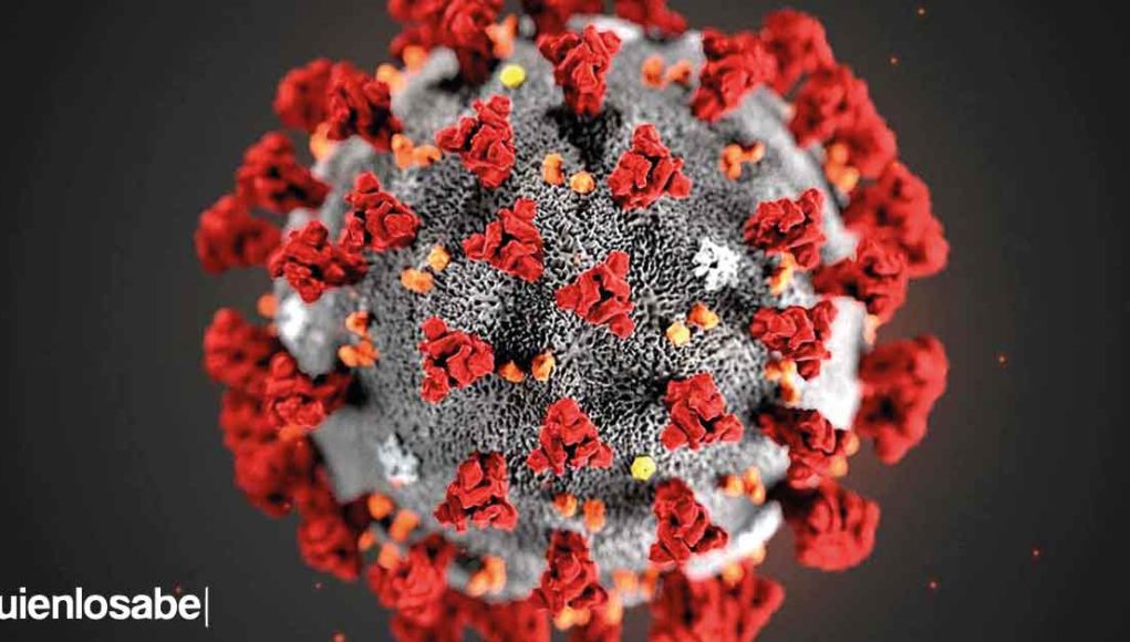 Confirman la aparición de una nueva cepa de coronavirus. coronavirus nueva cepa