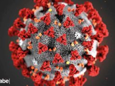 coronavirus nueva cepa