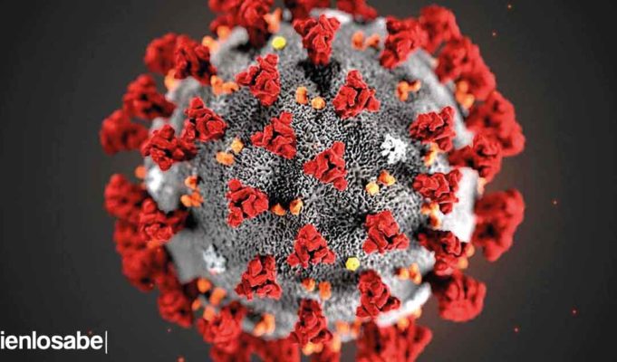 coronavirus nueva cepa