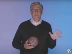 Bill Gates cómo prevenir pandemia