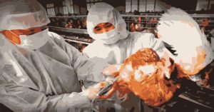 Gripe aviar China 