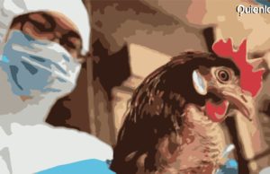 Gripe aviar China