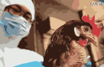 Primer caso de gripe aviar H10N3 es detectado en China. Gripe aviar China