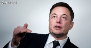 Elon Musk Metaverso