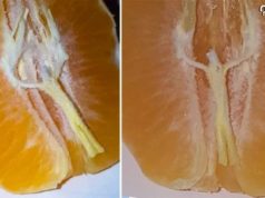 Jesús mandarina