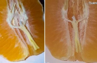 Hombre asegura que vio a Jesús en una mandarina. Jesús mandarina