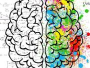 Los 5 rasgos de la personalidad. Los 5 rasgos de la personalidad