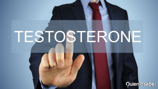 Cómo aumentar la testosterona