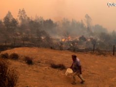 Incendios forestales en Chile 2023