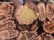 Inseguridad Alimentaria Aguda Afecta a 258 Millones de Personas en el Mundo. Inseguridad alimentaria aguda