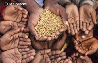 Inseguridad alimentaria aguda