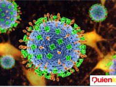 Virus Nipah Nueva Pandemia ?