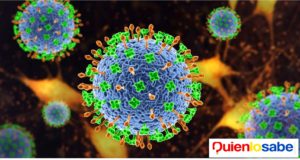 Virus Nipah Nueva Pandemia ?