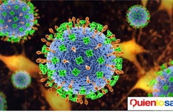 Virus Nipah Nueva Pandemia ?