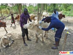 Alarma por brote de Ántrax en varias provincias de Zambia. La situación en Zambia se ha presentado de manera crítica por brote de Ántrax.