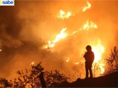El fenómeno del Niño y las altas temperatura las causas de estas Tormentas de Fuego.