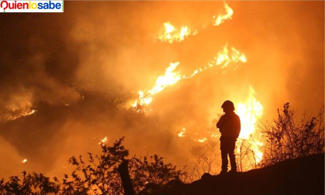 El fenómeno del Niño y las altas temperatura las causas de estas Tormentas de Fuego.