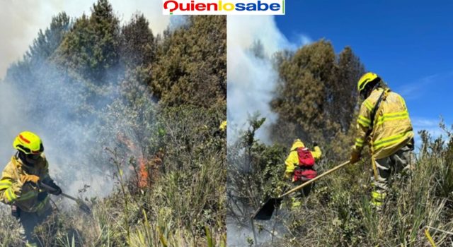 Ministra de ambiente se refiero a la alerta roja por incendios en Colombia. Alerta Roja por el fenómeno del NIÑO en Colombia mas de 500 municipios en riesgo.