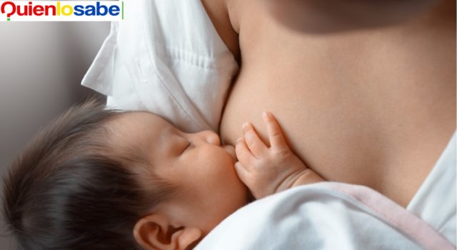 Leche Materna acido graso esencial para el corazón del gestante. Lactancia materna una alimentación complementaria.