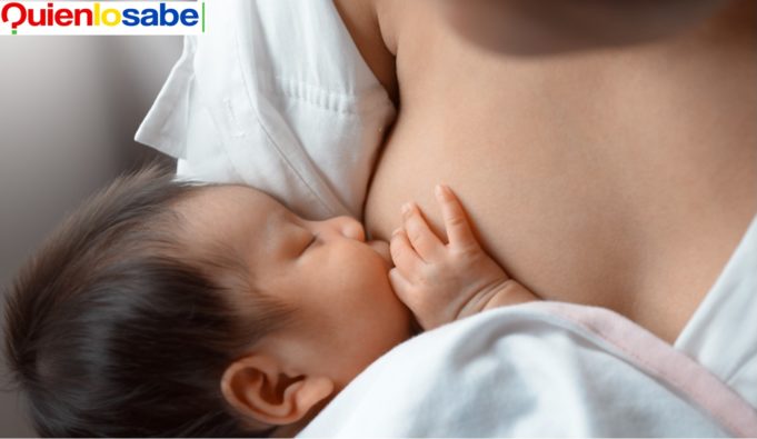 Lactancia materna una alimentación complementaria.