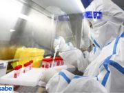 En Barcelona se ha desarrollado anticuerpo contra el SARS-CoV-2. Se ha desarrollado un anticuerpo el 17T2 para poder proteger a las personas que se encuentran inmunocomprometidas y con mayor riesgo de desarrollar el COVID-19 grave.