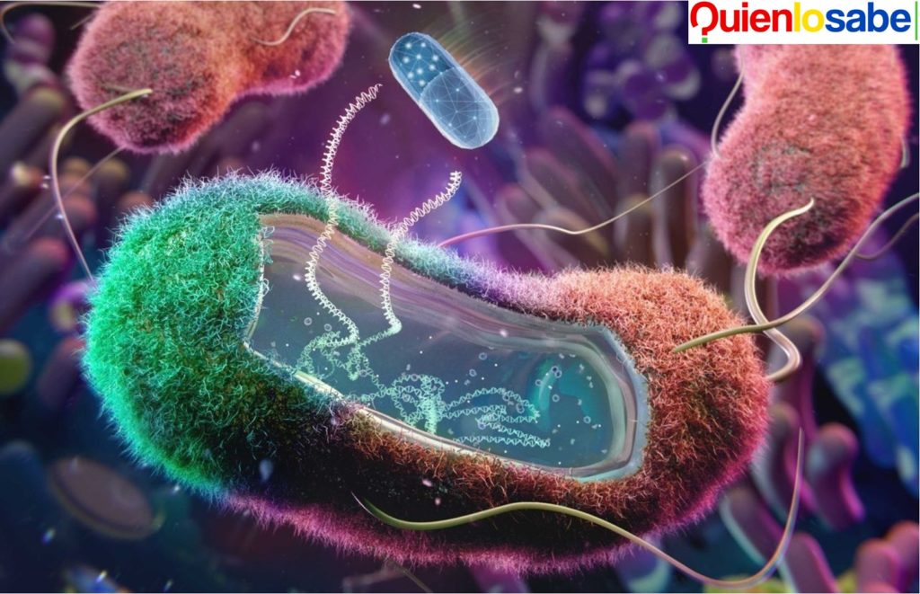 Bacteria Burkholderia esta afectando parte de México y la Baja California.