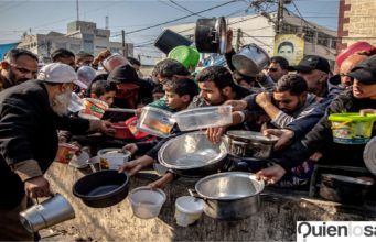 ONU informa sobre la situación de hambre que vive la Franja de Gaza. ONU expresa su profunda preocupación por situación de hambre en la Franja de Gaza