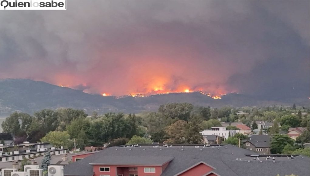 Los incendios forestales en Canadá obligaron a la evacuación de una ciudad.