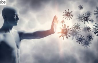 Desarrollan nuevas vacunas para prevenir los diferentes coronavirus conocidos y sin conocer.